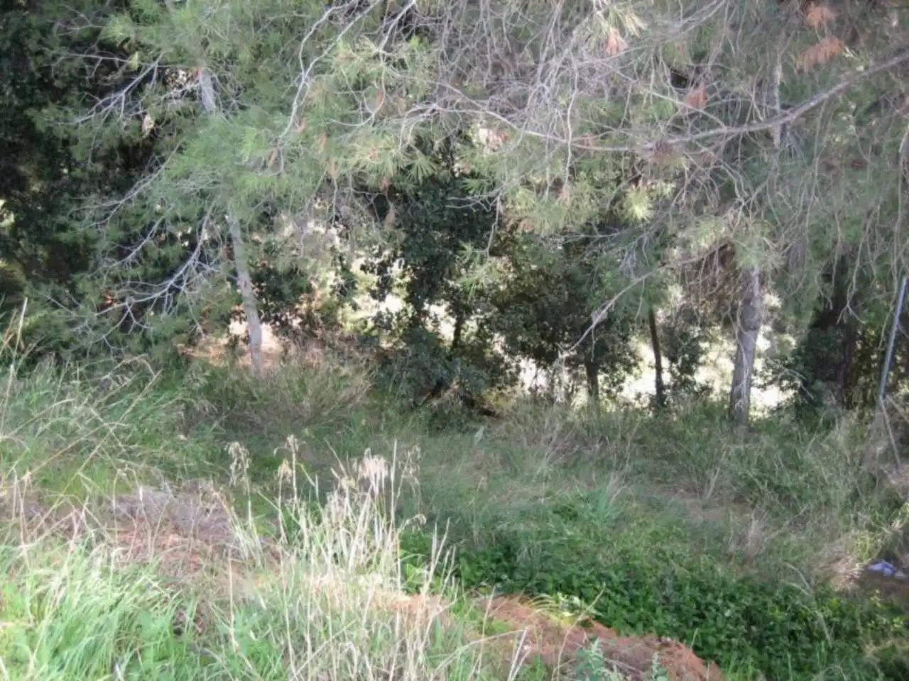 Wohnbaugrundstück zum Verkauf in Avenida MONTBUI 50, imagen 2