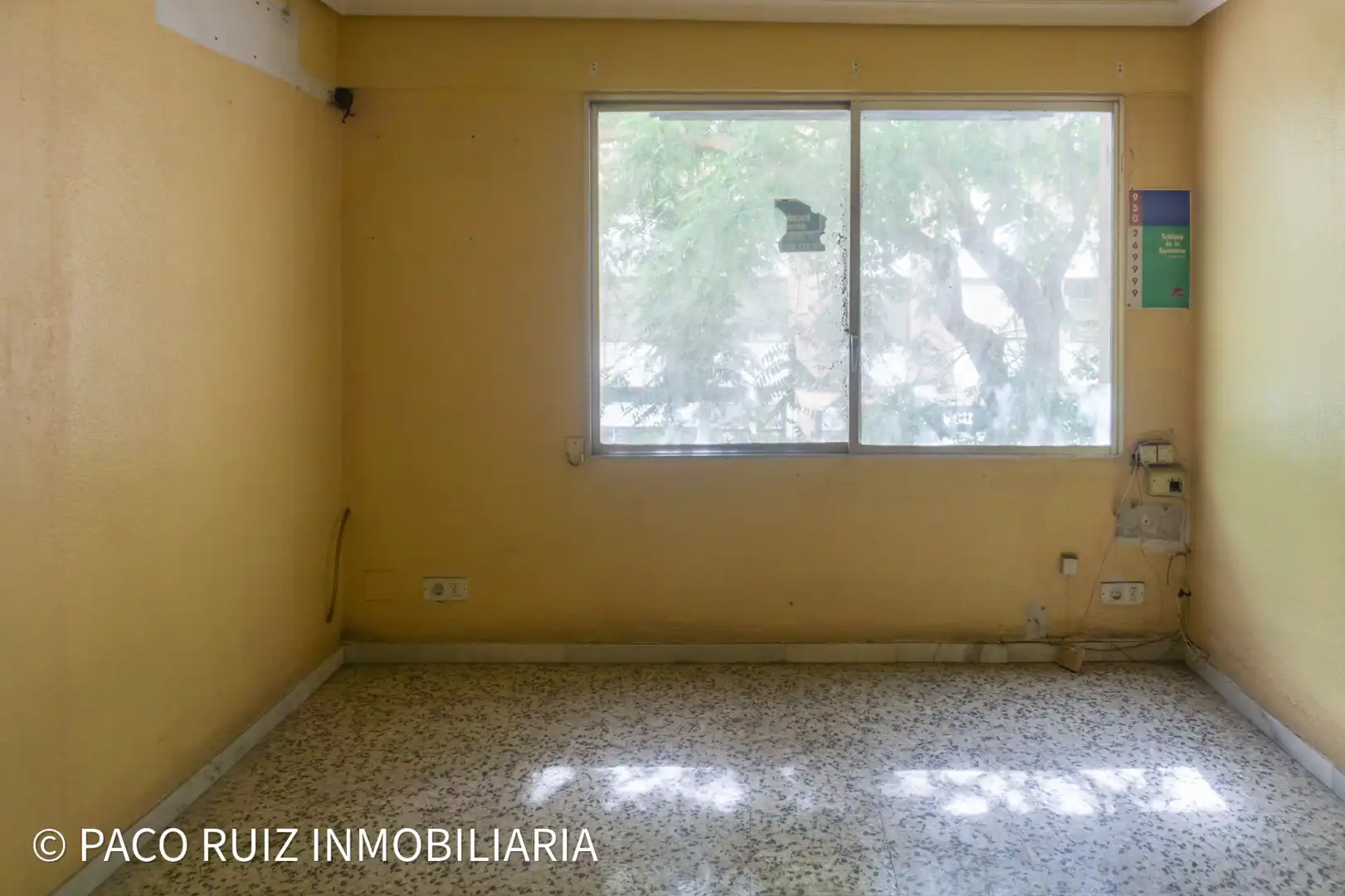 Local comercial en alquiler en Calle José Artés de Arcos 22, imagen 10