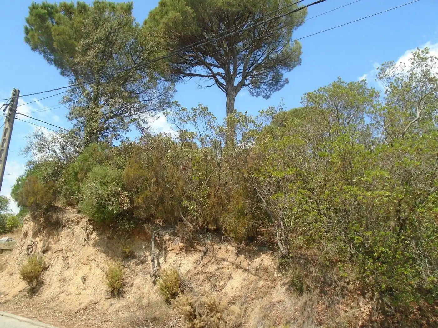 Residential for sale in Riells i Viabrea