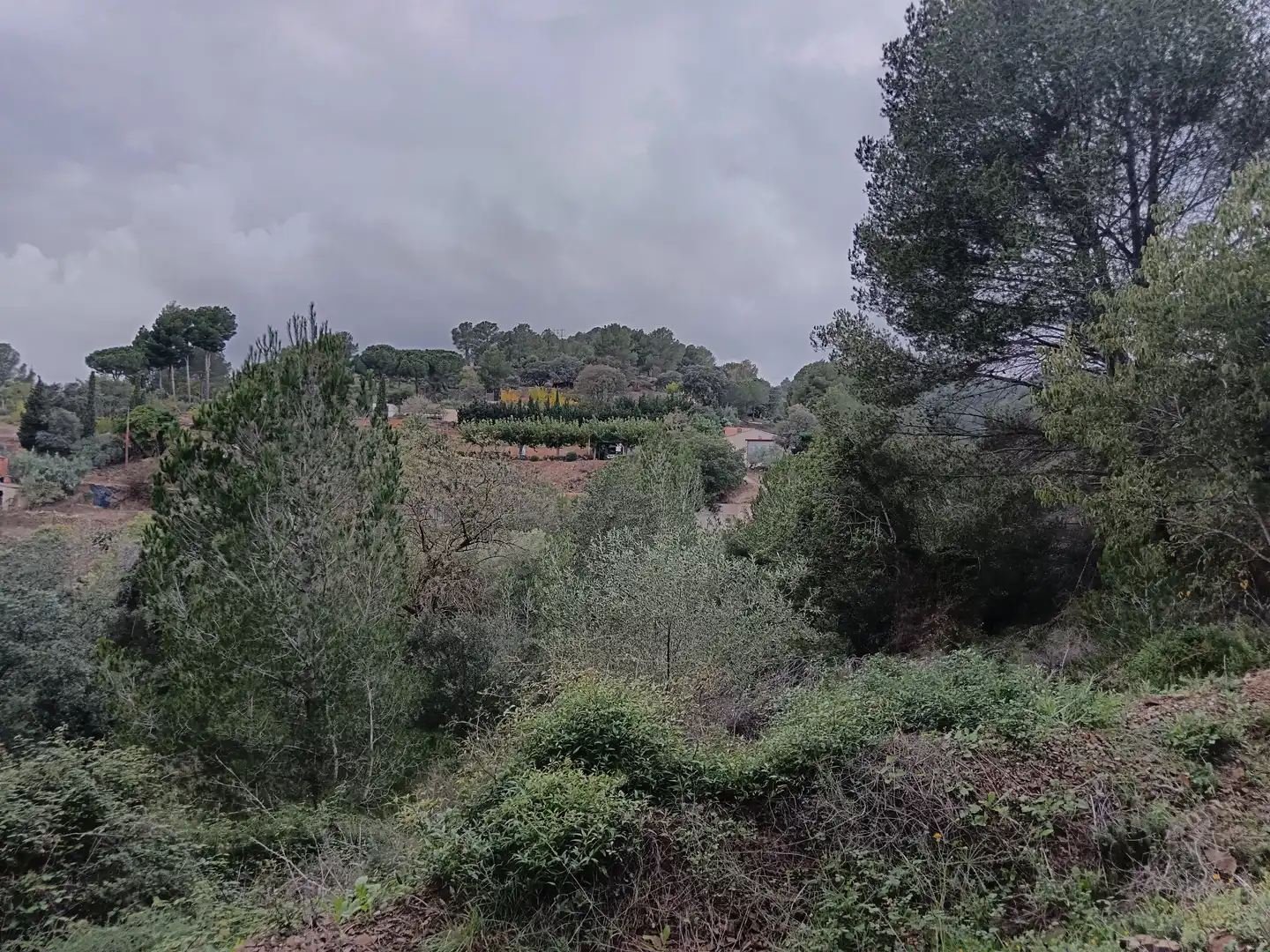 Terreny residencial en venda a Castellvell del Camp, imagen 6