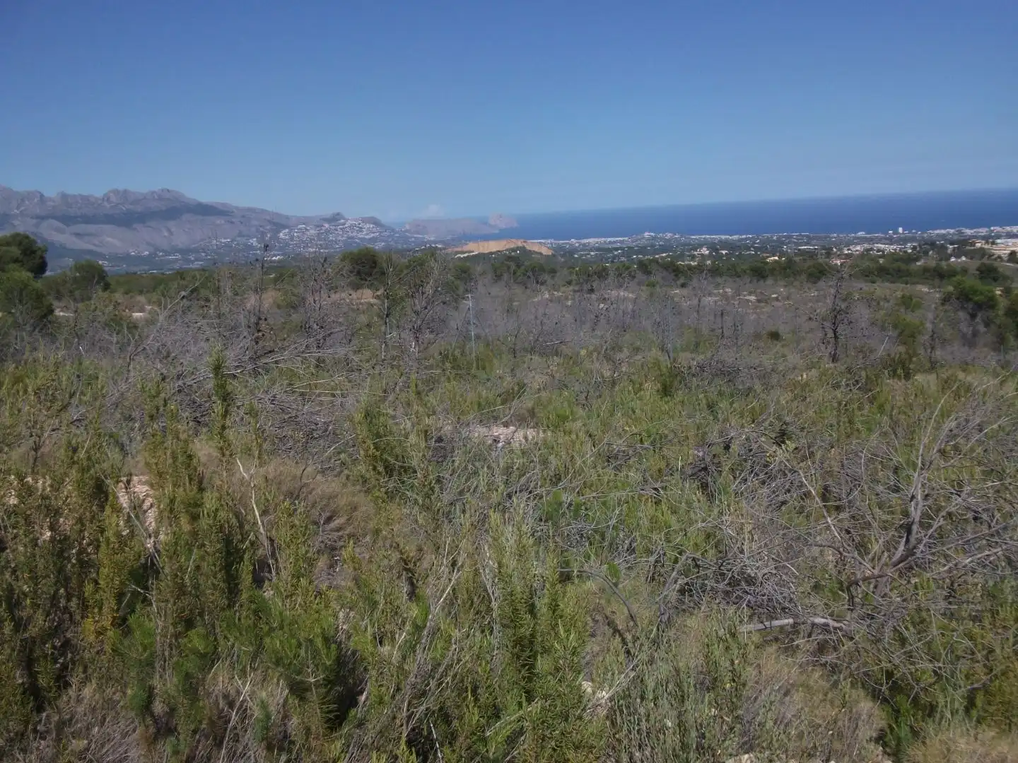 Terreno en venta en La Nucia