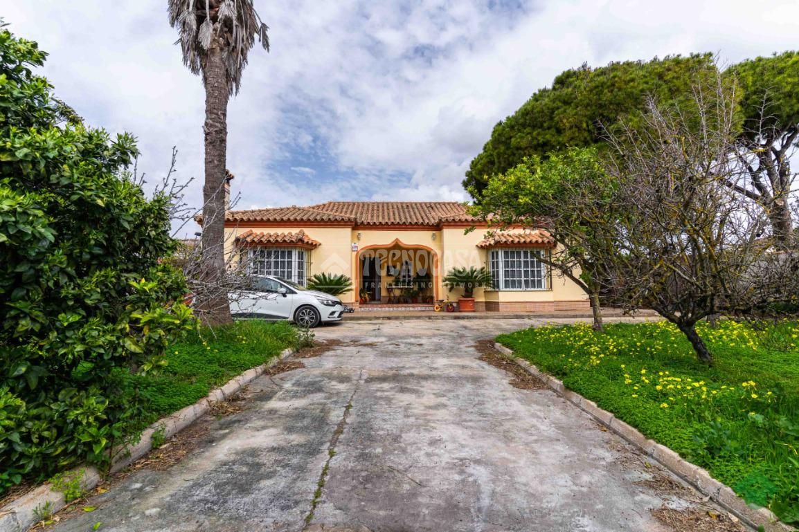 Vista exterior de Finca rústica en venda en Chiclana de la Frontera