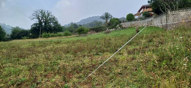 Terreno residencial en Venta en Illas