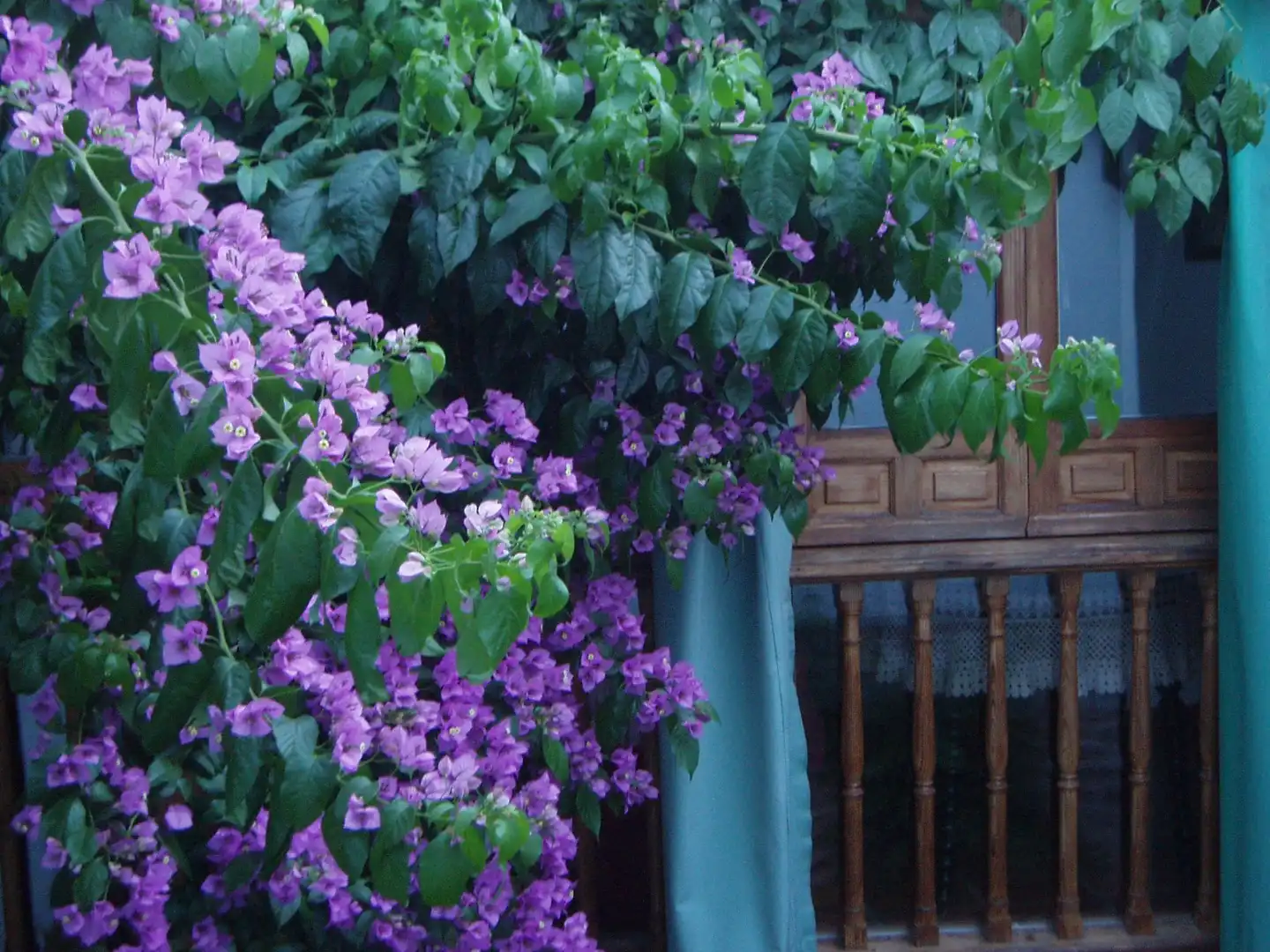Jardín de Casa o chalet en venta en Córdoba