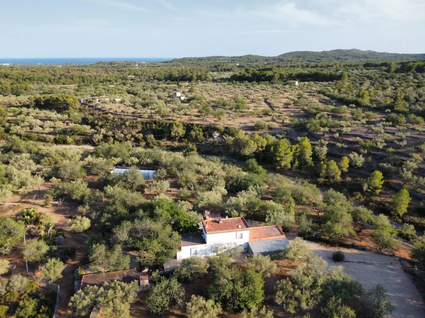 Maison rustique avec piscine à vendre à El Perelló, imagen 7