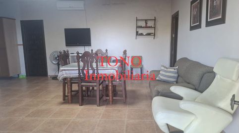 Foto 2 de Terreno en venta en Cañada Rosal, Sevilla