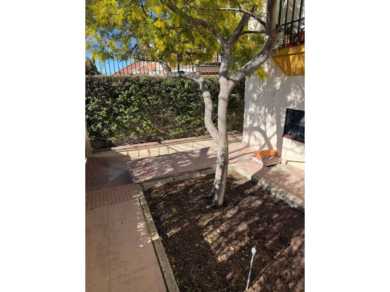 Garden of House or chalet for sale in Úbeda  with Heating, Private garden and Terrace