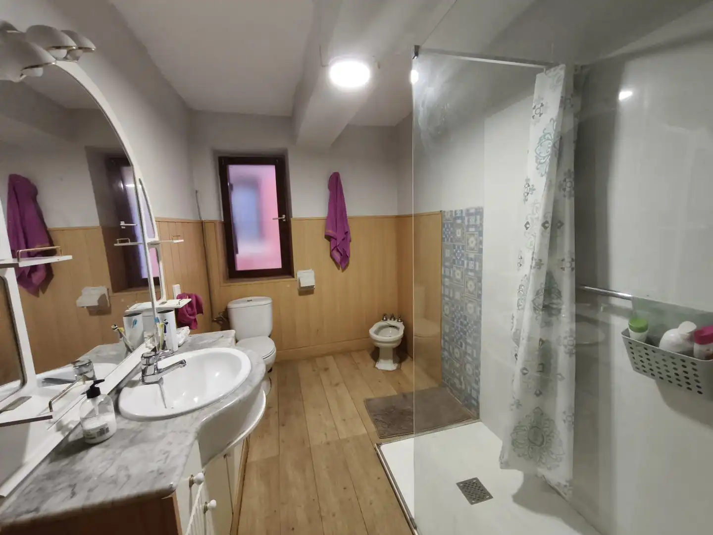 Bathroom of Detached homes for sale in Altsasu / Alsasua  with Balcony