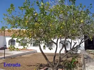 Haus mit Garten zum Verkauf in Almodóvar del Río, imagen 4