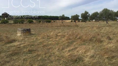 Foto 4 de Finca rústica en venta en Almonte ciudad, Almonte