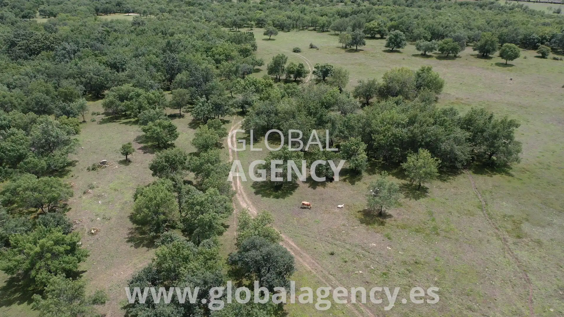 Rural land for sale in Soto del Real, imagen 3