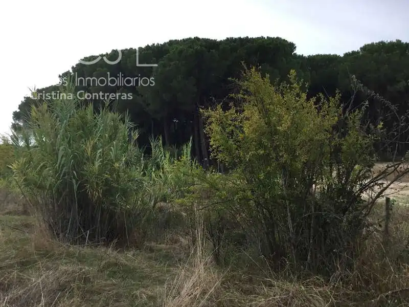 Casa rústica en venda a Almonte ciudad, imagen 22