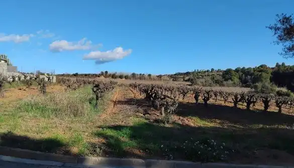 Lands and plots for sale in Sant Llorenç d'Hortons, imagen 5