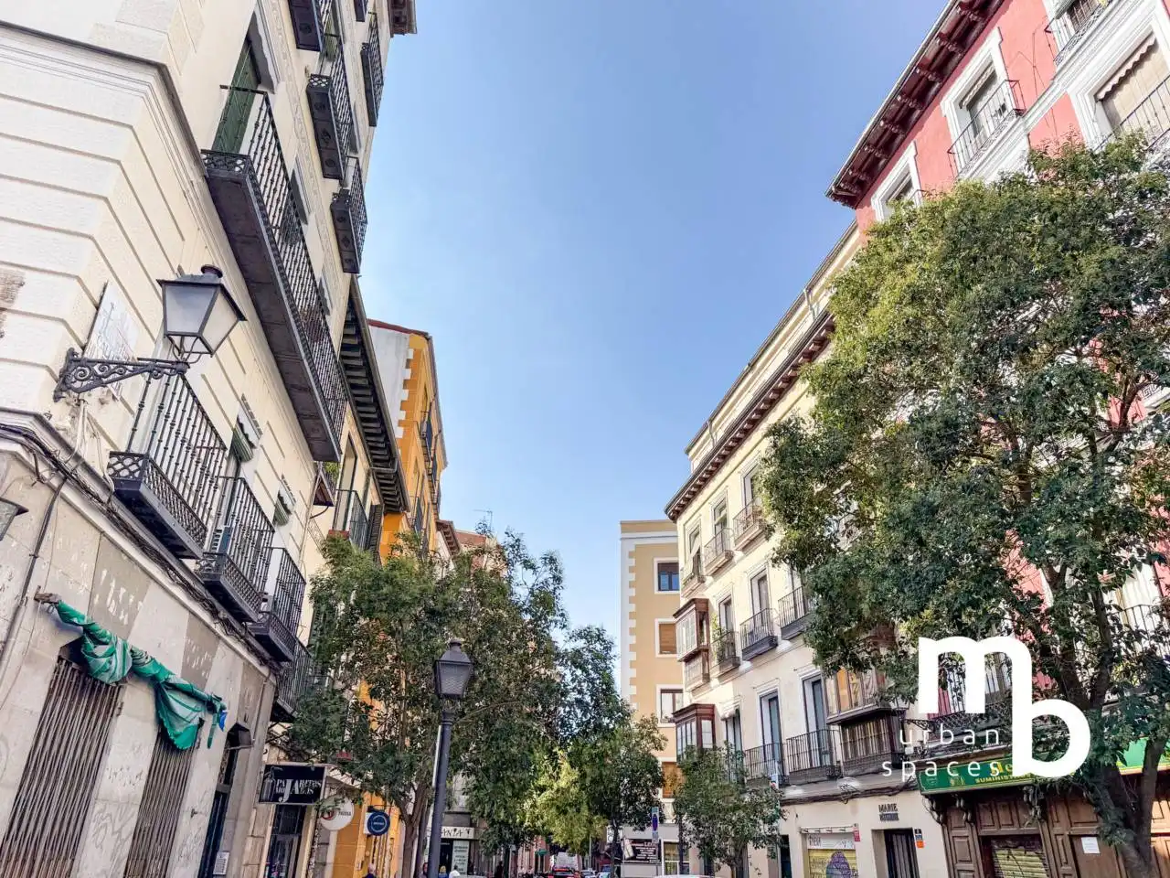 Wohnung mit Terrasse zum Verkauf in Calle Humilladero, imagen 60