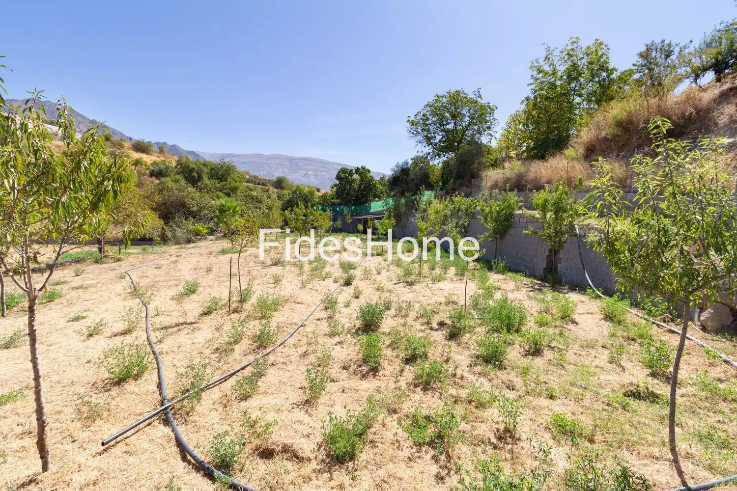 Rural land for sale in XCHH+JQ6 Dúrcal 0, imagen 8