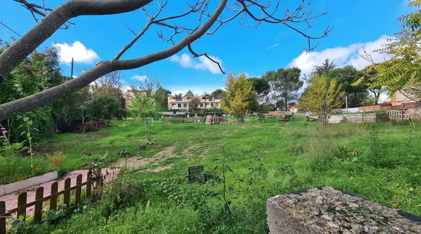 Terreny residencial en venda a Avenida de Galapagar 26, imagen 10
