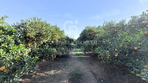 Foto 2 de Finca rústica en venda a Partida Contienda, Moncada, Valencia