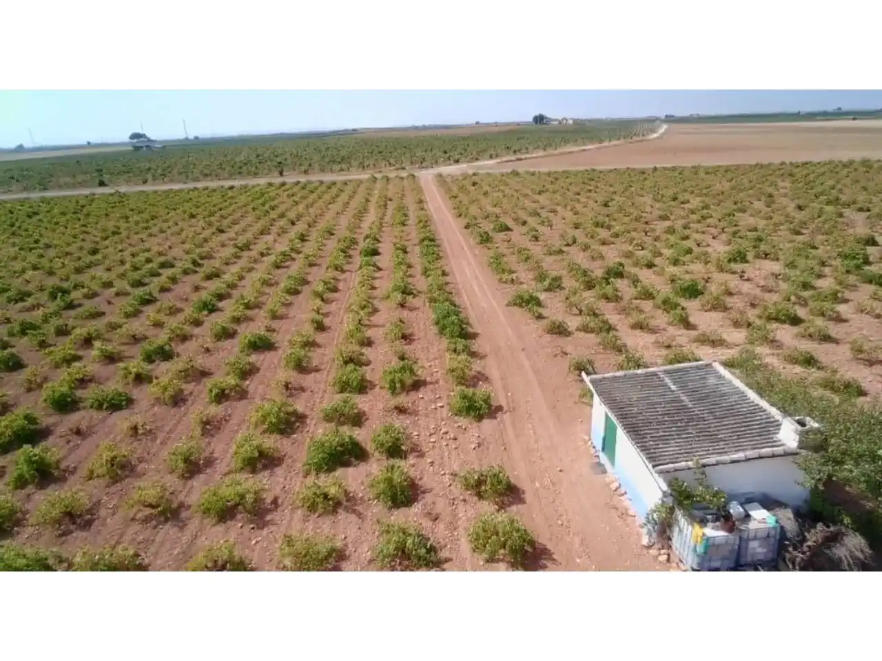 Rural land for sale in Manzanares