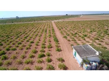 Rural land for sale in Manzanares