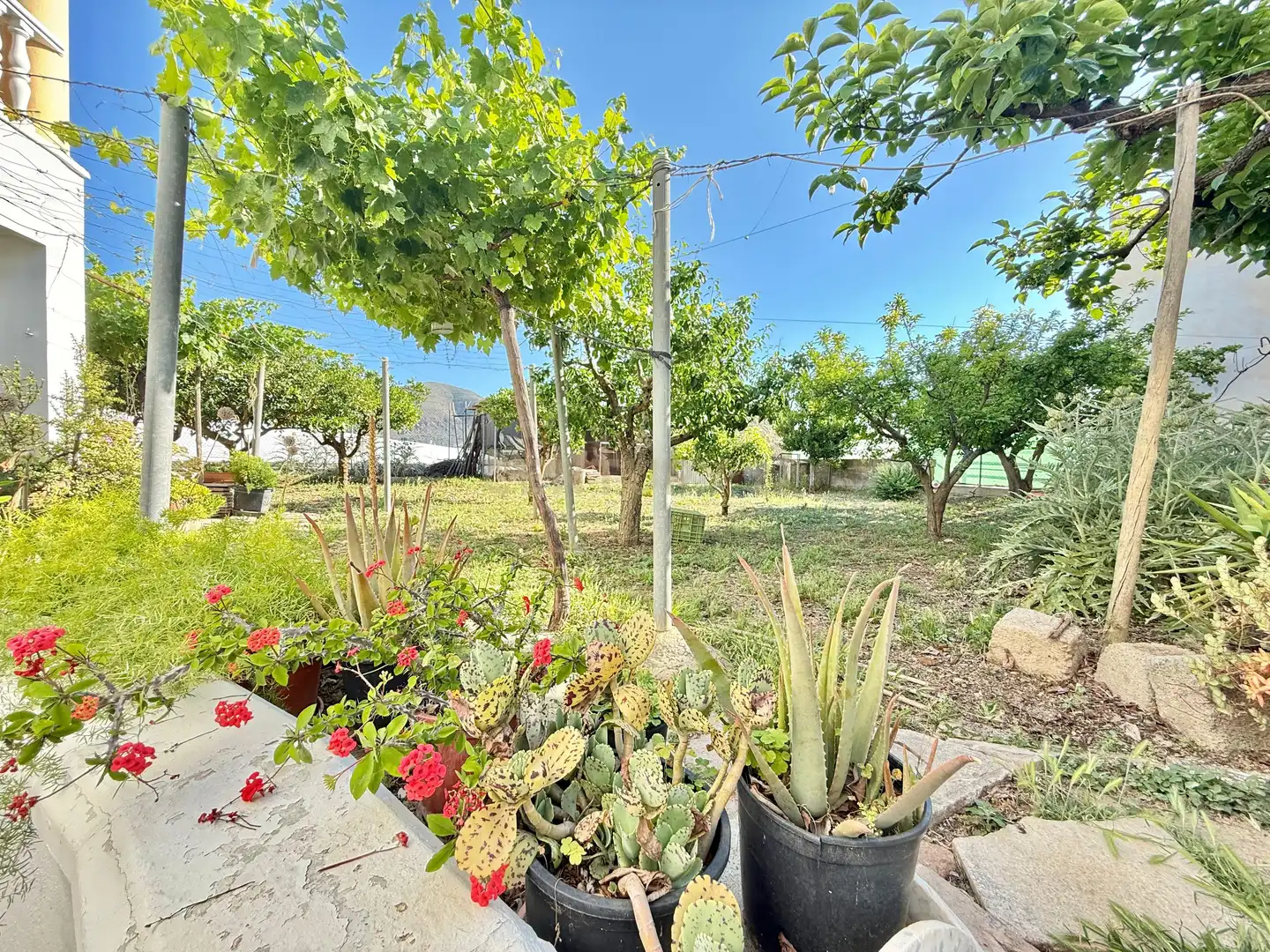 Casa amb jardí en venda a Berja, imagen 36