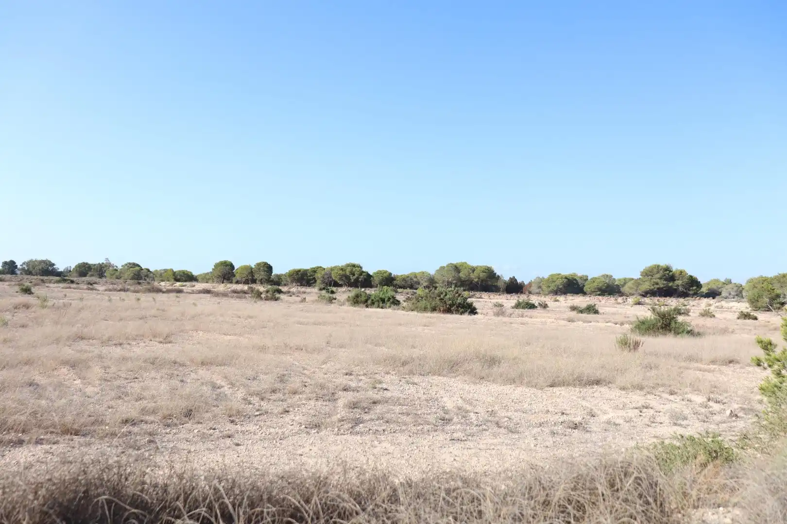 Terrain rustique à vendre à Valverde, imagen 10
