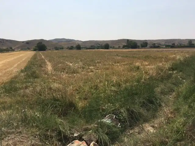 Rural land for sale in Morata de Tajuña, imagen 5