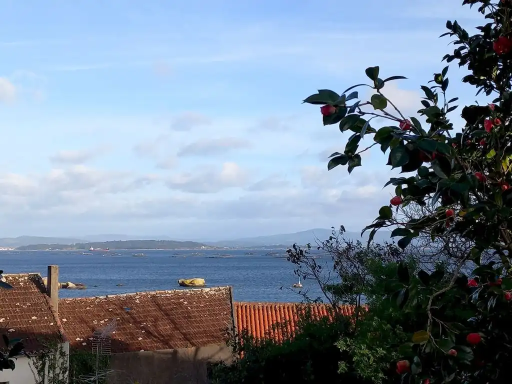 Vista exterior de Finca rústica en venta en Ribeira con Jardín privado y Trastero