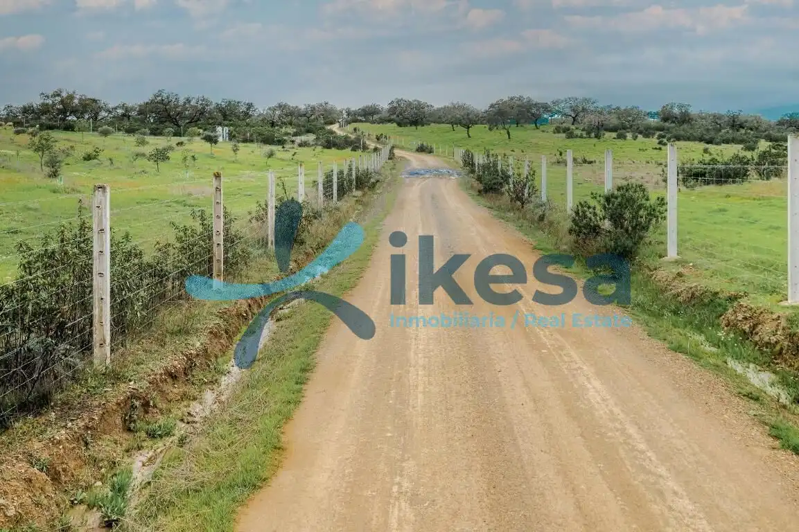 Exterior view of Land for sale in Puebla de Guzmán