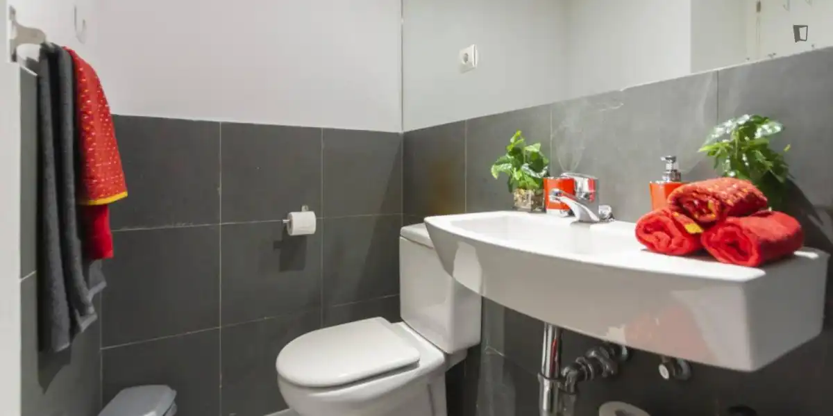 Apartments for rent in Puerta del Ángel