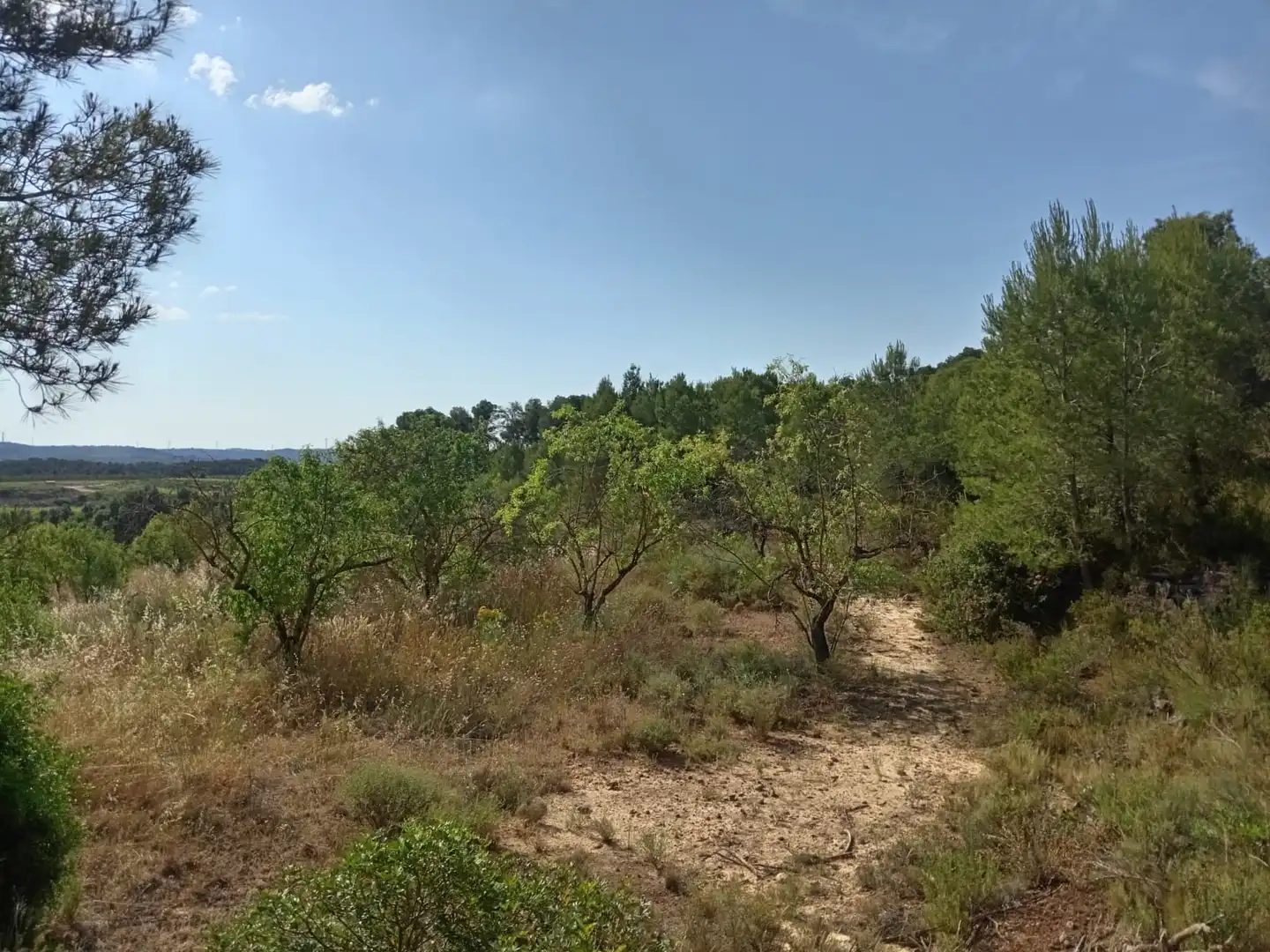 Finca rústica en venda en Batea
