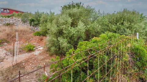 Foto 4 de Residencial en venda a El Balcó - Jaume I, Oropesa del Mar / Orpesa