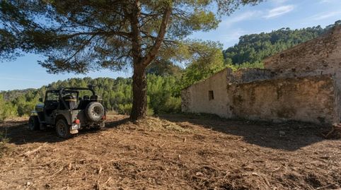 Tu refugio en plena naturaleza finca de 45 hectáreas  Jeep opcional