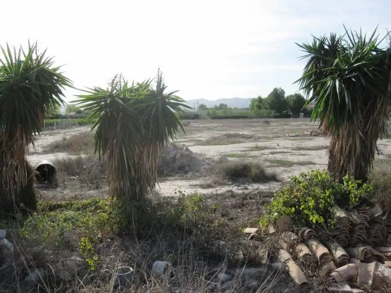 Finca rústica en venda en Novelda