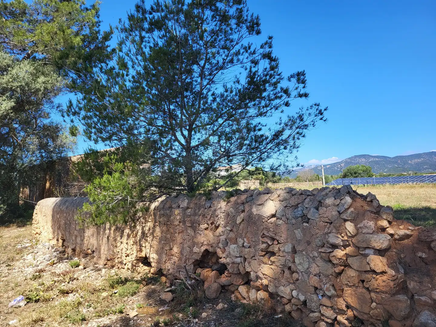 Terrain rustique à vendre à Polígono 2 Parcela 1, imagen 6