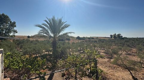 Photo 3 of Country homes for sale in Carmona, Sevilla