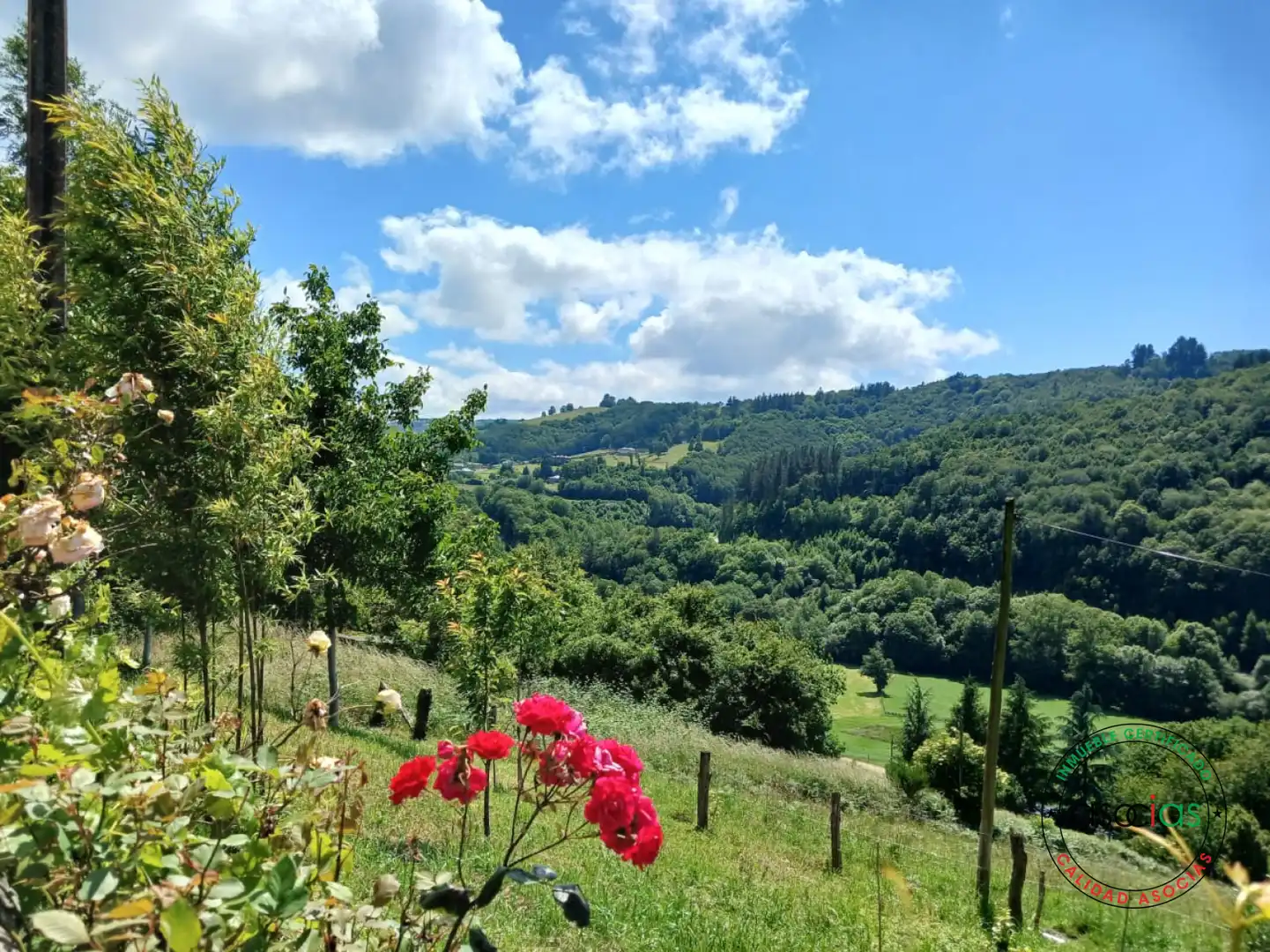 Casa o xalet en venda a Santa Eulalia de Oscos - VEGA DEL CARRO, Santa Eulalia de Oscos