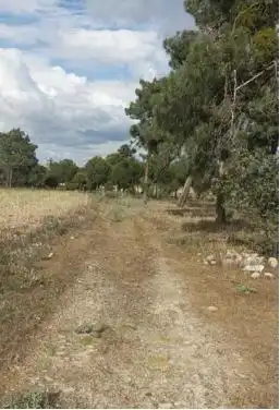 Terreni e lotti in vendita a Villanueva de Gómez, imagen 2