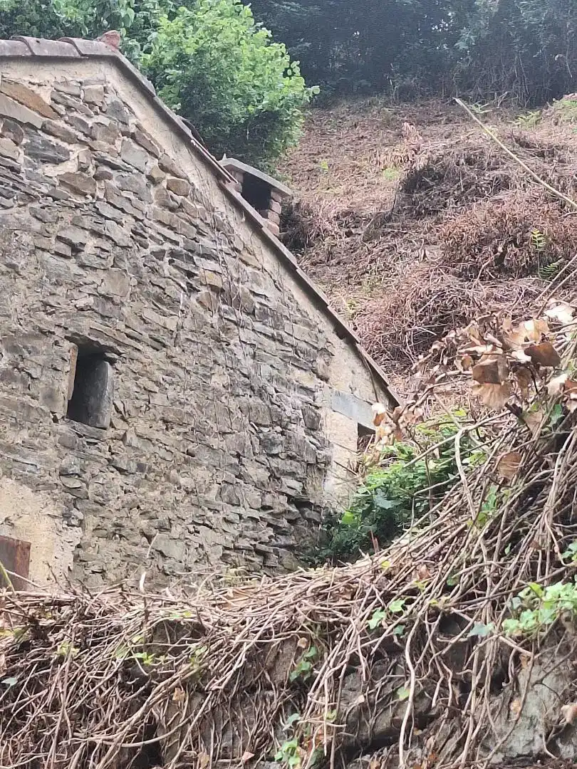 Vista exterior de Planta baixa en venda en Mieres (Asturias)