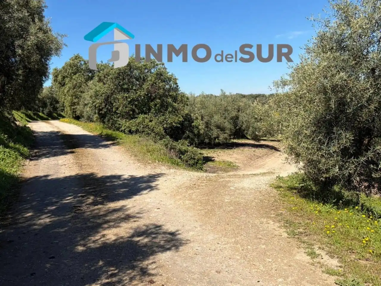 Terreno rustico in vendita a Carretera Lucena-Doña Mencía, imagen 8
