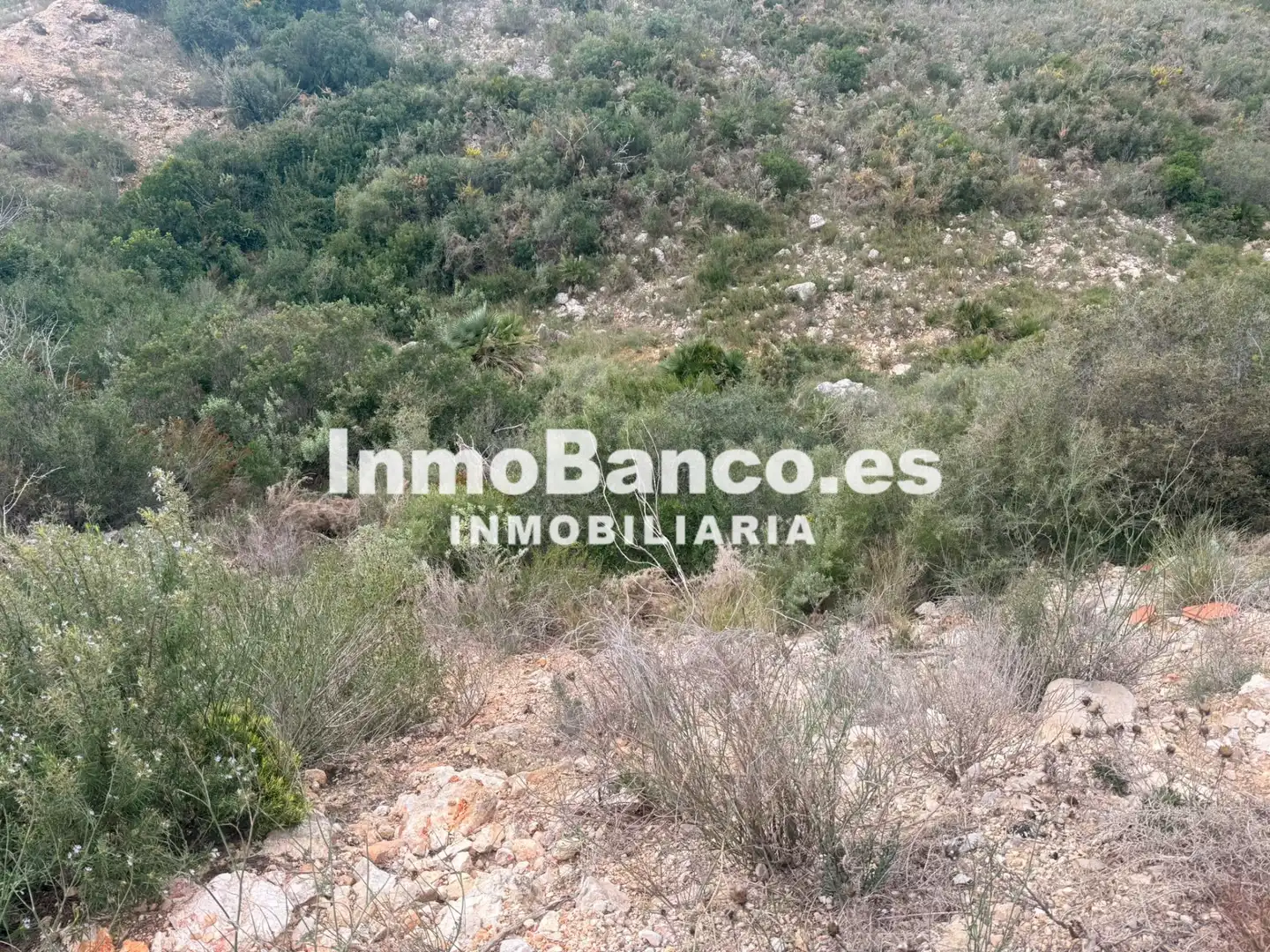 Terreno residencial en venta en Avenida Buenos Aires 1400, imagen 5