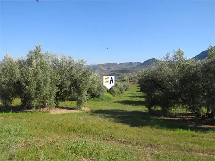Terreni e lotti in vendita a Martos, imagen 9