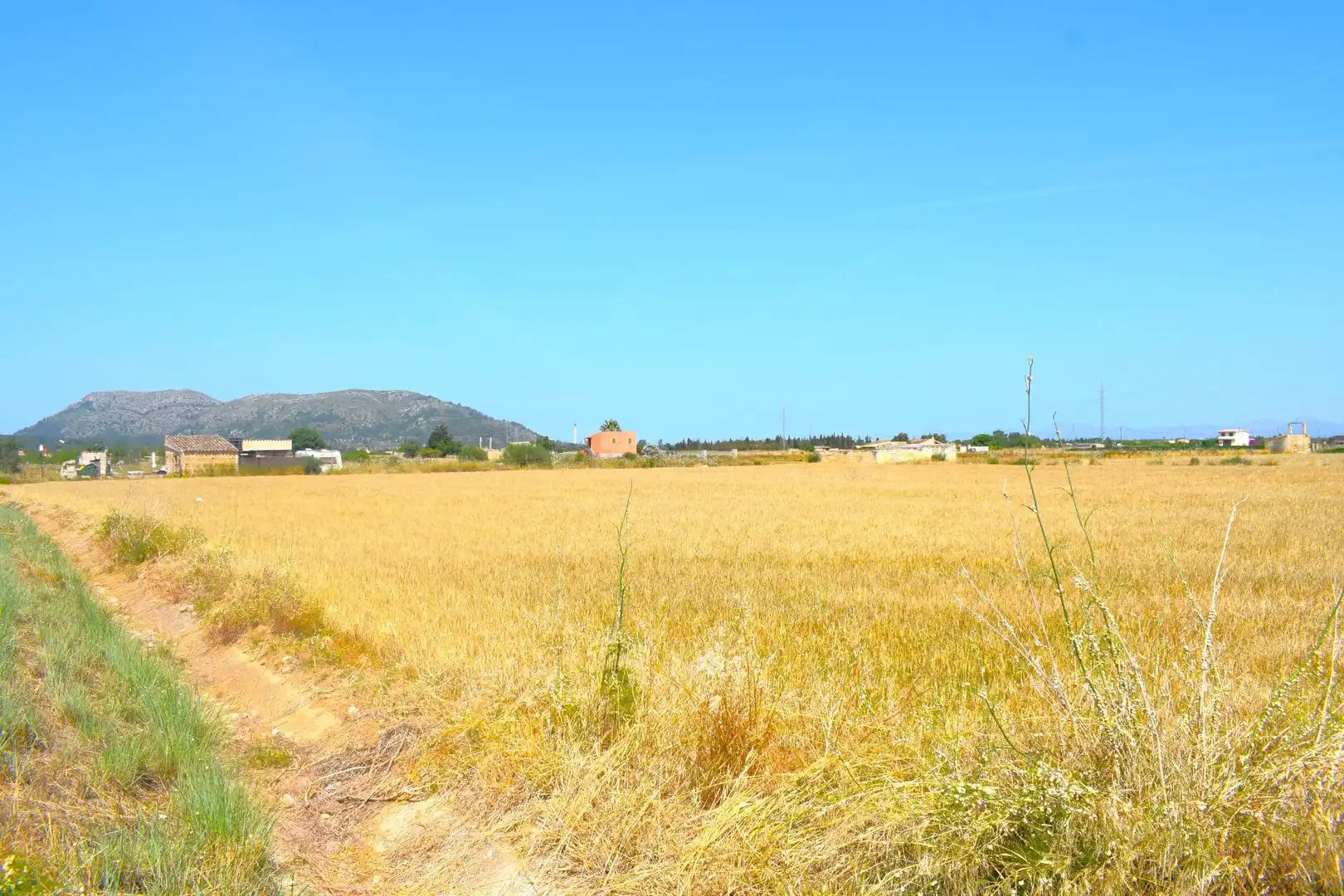 Rural land for sale in Sa Pobla, imagen 13