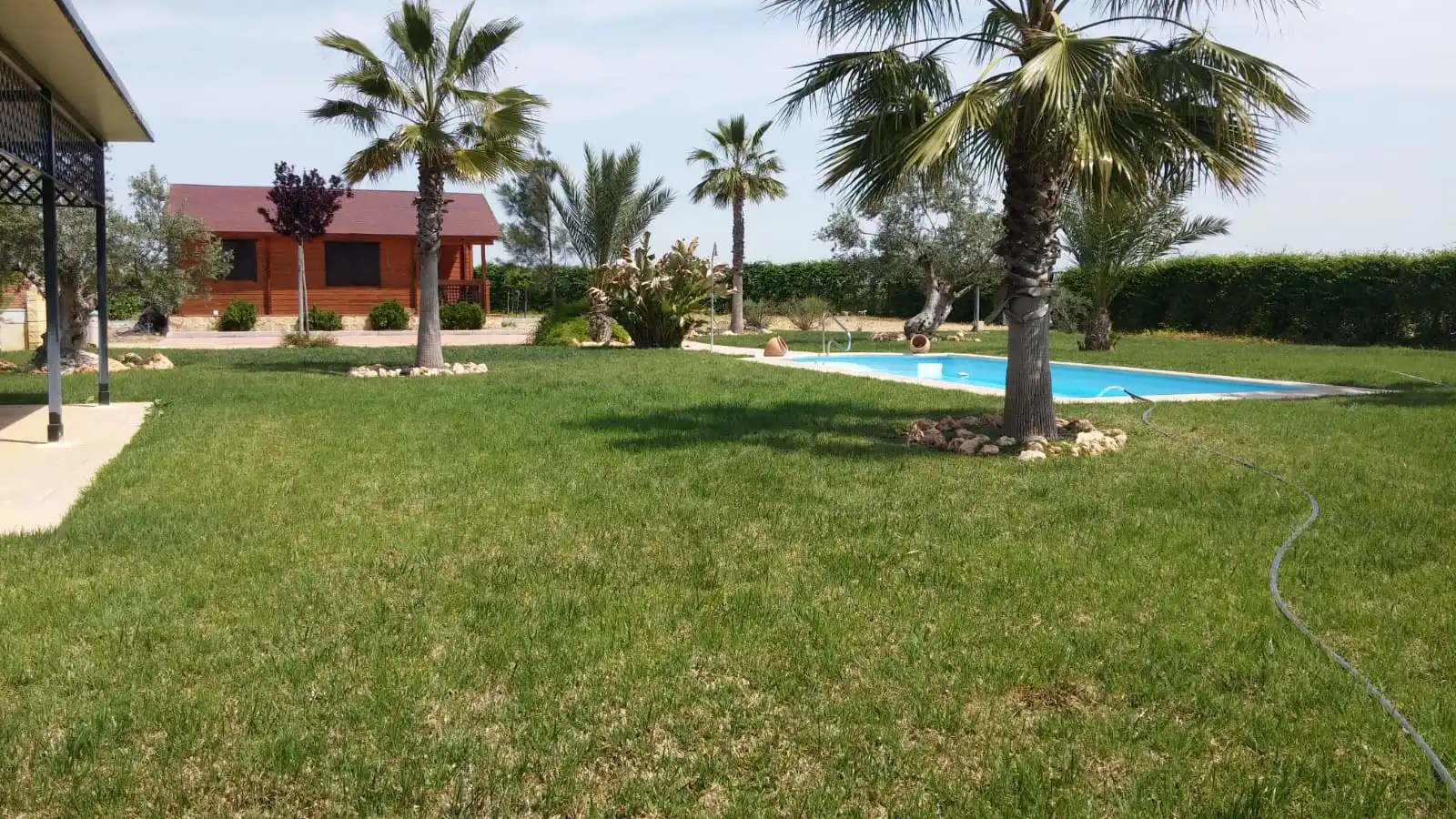 Terreno rustico in vendita a Carretera Ecija, imagen 7