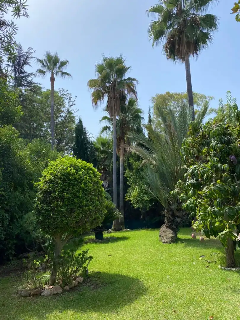 Jardí de Casa o xalet de lloguer en Marbella