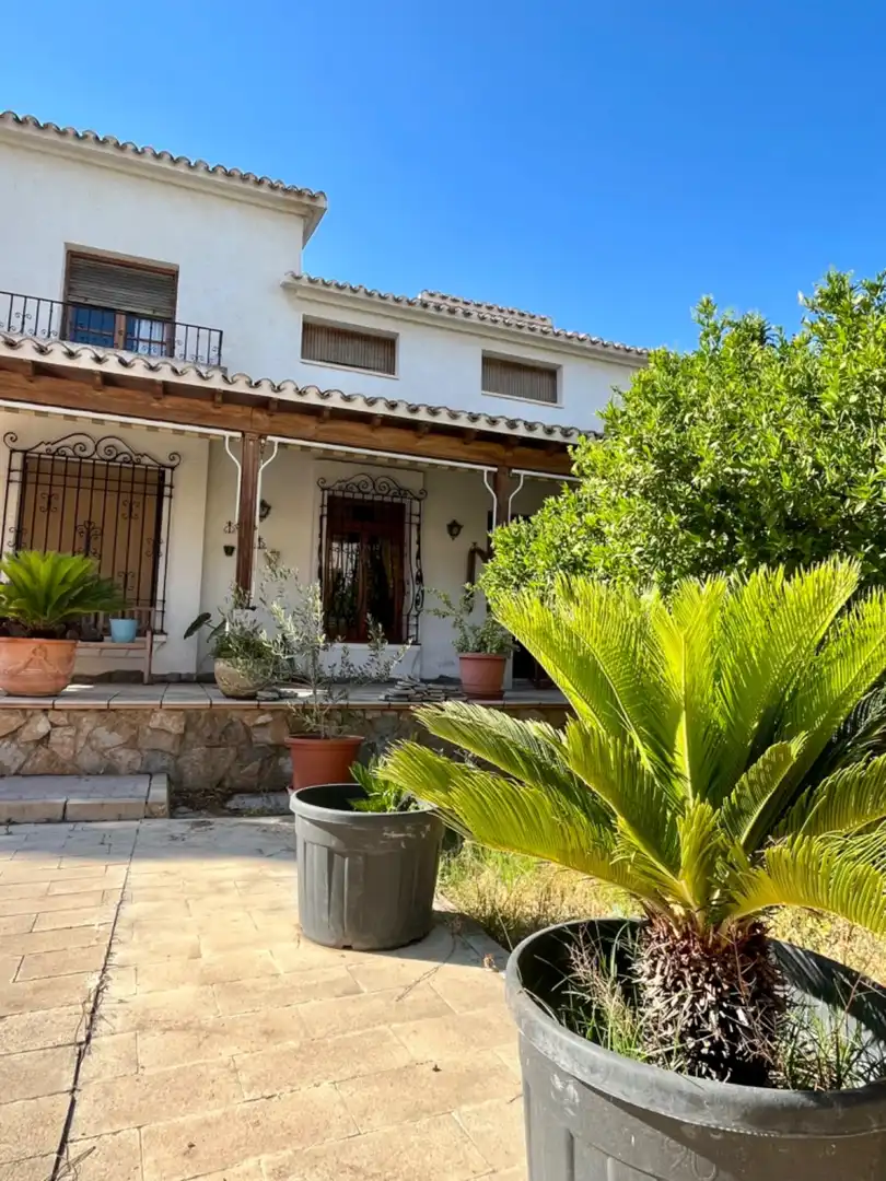 Villa avec terrasse à vendre à Elche ciudad, imagen 57