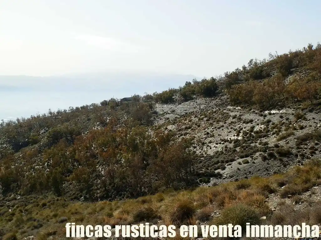 Terreny rústic en venda a Pechina, imagen 26