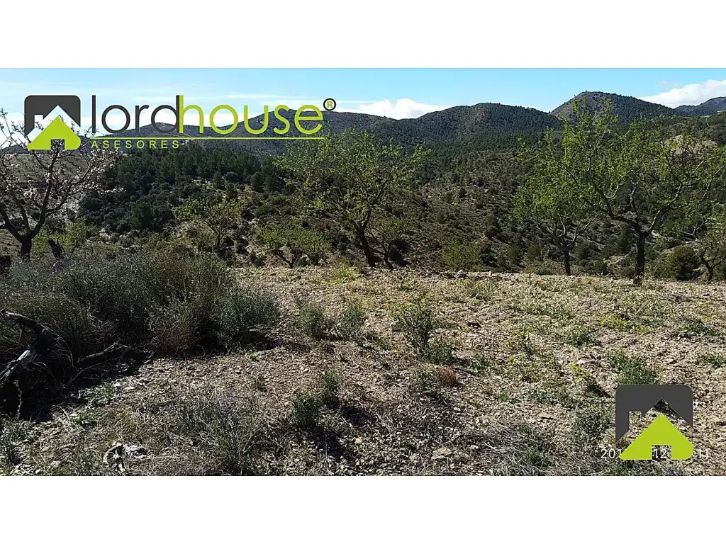 Finca rústica en venta en Lorca