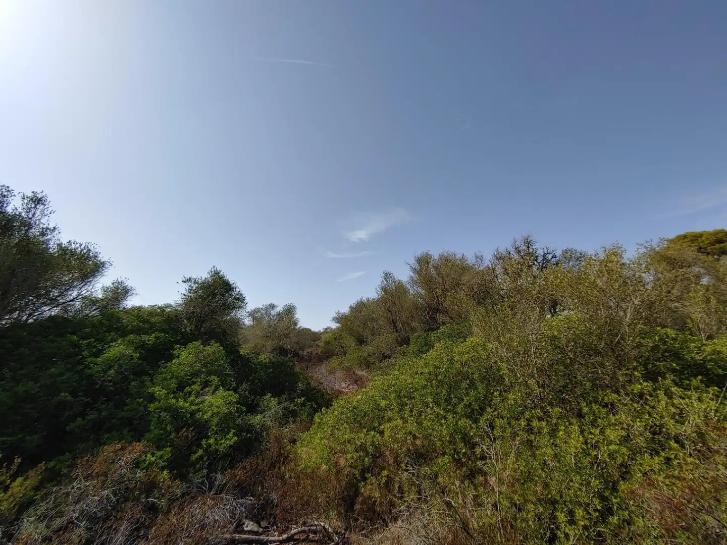 Residencial en venta en Polígono Parcela 12, Cala Pi - Vallgornera
