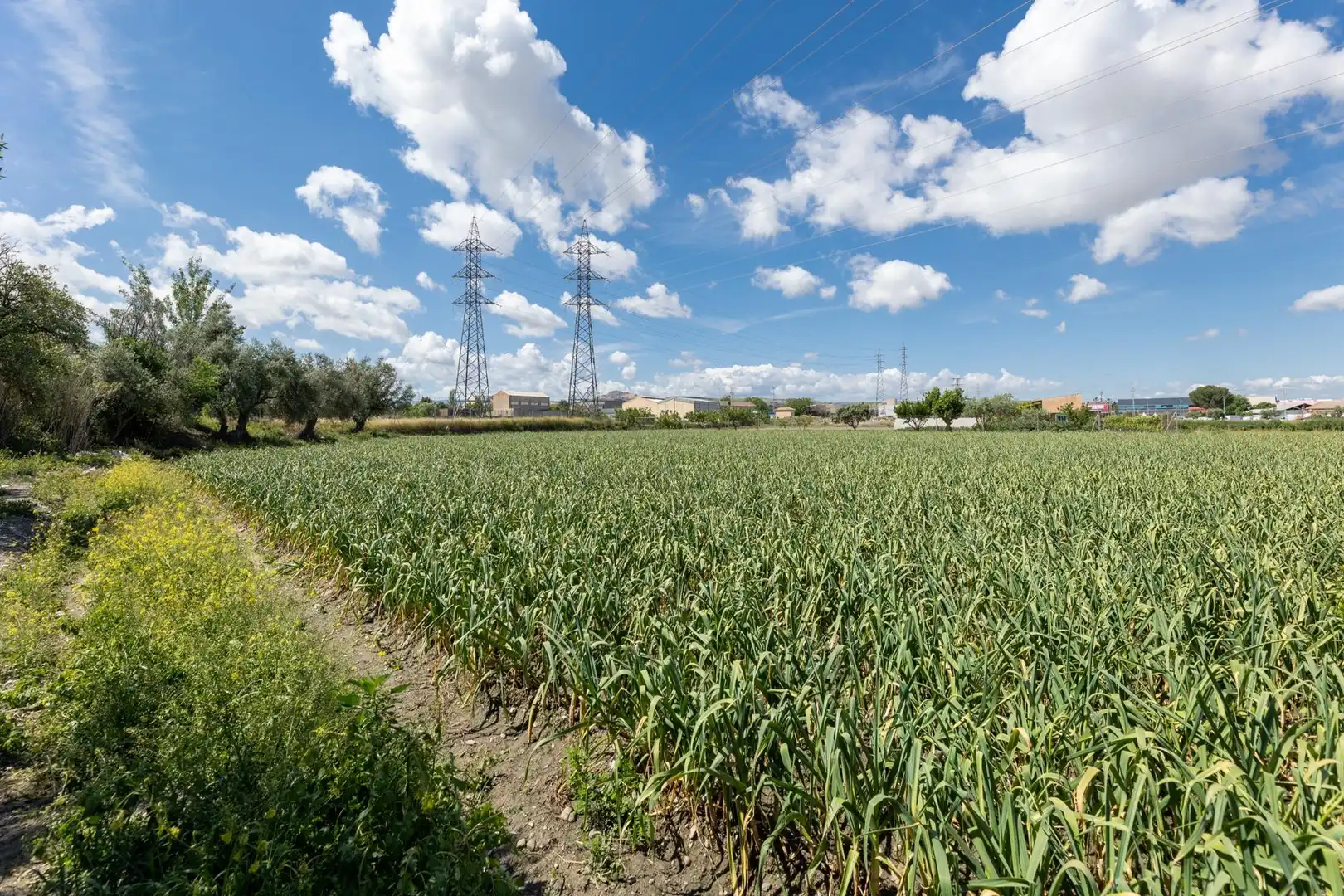 Terreni e lotti in vendita a Ramal del Río, imagen 15
