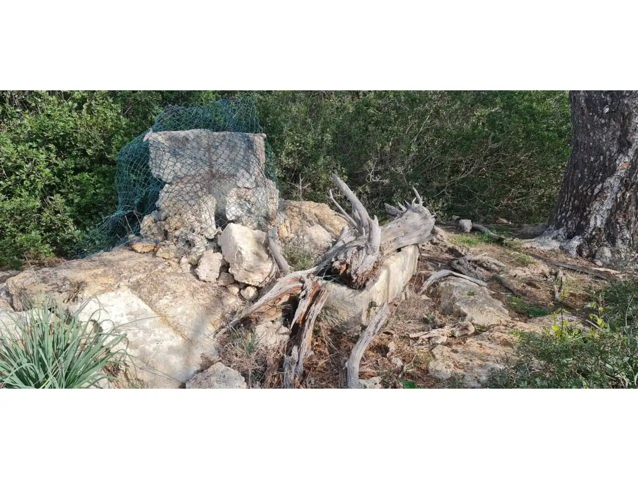 Terreny rústic en venda a Poligono 7 79, imagen 7